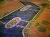 20050404205121-HPIM0160.jpg