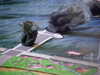MVC-006F.JPG