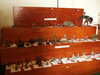 PICT2338.JPG