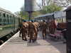 MVC-044F.JPG