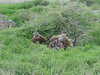 MVC-054F.JPG