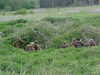 MVC-058F.JPG