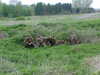 MVC-069F.JPG