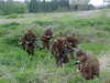 MVC-070F.JPG