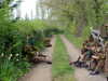 MVC-078F.JPG