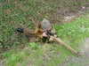 MVC-094F.JPG