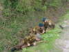 MVC-098F.JPG