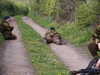 PICT2428.JPG