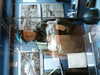 PICT2470.JPG