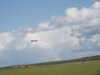 PICT2501.JPG