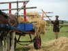 PICT2533.JPG