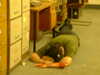 20050709035703-zombie3.JPG