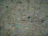 20050709221000-DSCF0333.JPG