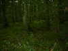 DSCF0004.JPG