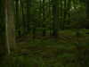DSCF0005.JPG