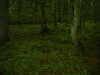DSCF0006.JPG