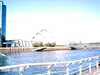 IMAG0007.JPG