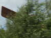 PICT2654.JPG