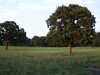 PICT2656.JPG