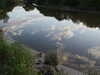 PICT2663.JPG