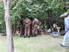 PICT2670.JPG