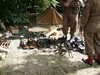 PICT2672.JPG