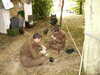 PICT2676.JPG