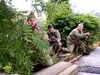 IMGP0781.jpg