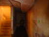 S5300076.JPG