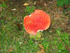 20051022235314-IMG_5387.jpg