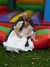 20051022144349-wedding_099.jpg