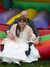 20051022144402-wedding_101.jpg