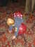 20051022184519-wedding_176.jpg