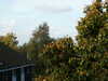 PICT2794.JPG