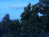 PICT2795.JPG