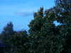 PICT2796.JPG