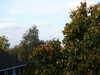 PICT2800.JPG