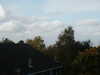 PICT2803.JPG