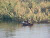 MVC-504F.JPG