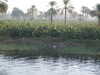 PICT2814.JPG