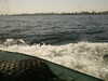 PICT2822.JPG