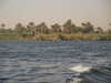 PICT2823.JPG