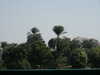 PICT2824.JPG
