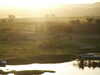 PICT2883.JPG