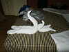 PICT2886.JPG
