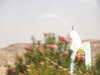 PICT2921.JPG