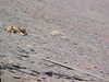 MVC-548F.JPG