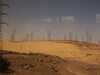 PICT2928.JPG