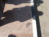 PICT2934.JPG