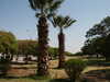 PICT2935.JPG